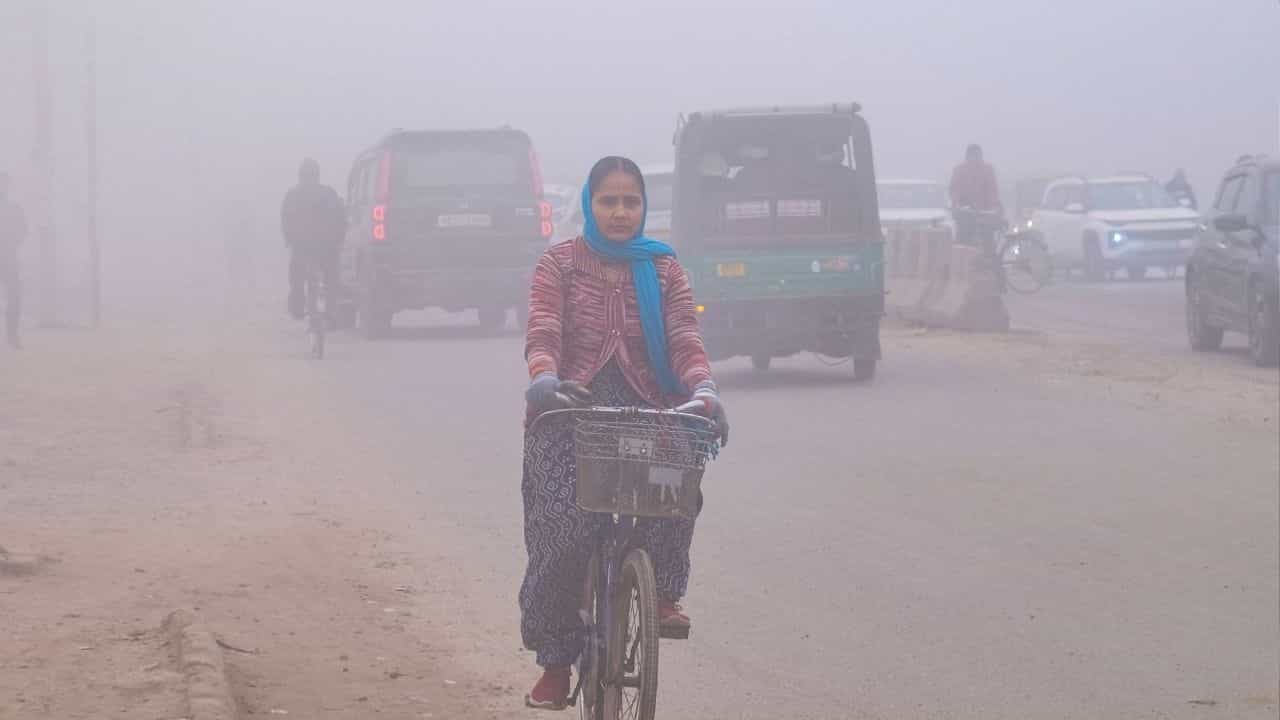இந்த மாவட்டங்களில் பனிமூட்டம் தொடரும்.. படிப்படியாக அதிகரிக்கும் வெப்பநிலை - வானிலை நிலவரம்..