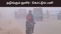 அதிகாலையில் ஏன் இந்த பனிமூட்டம்? இன்னும் எத்தனை நாட்களுக்கு ?...