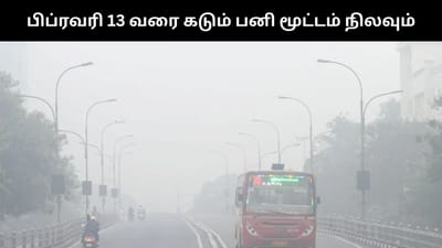 பிப்13 வரை தமிழகத்தின் 14 மாவட்டங்களின் கடும் பனி மூட்டம் நிலவும்