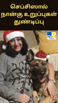 நாய் நக்கிய காயம்: செப்சிஸால் நான்கு உறுப்புகள் துண்டிப்பு – அதிர்ச்சி சம்பவம்...