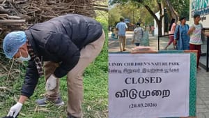 பறவை காய்ச்சல் பாதிப்பு.. பொதுமக்கள் அச்சப்படவேண்டாம் என சுகாதாரத்துறை அறிவுறுத்தல்.. பறவை காய்ச்சல் பாதிப்பு.. பொதுமக்கள் அச்சப்படவேண்டாம் என சுகாதாரத்துறை அறிவுறுத்தல்..