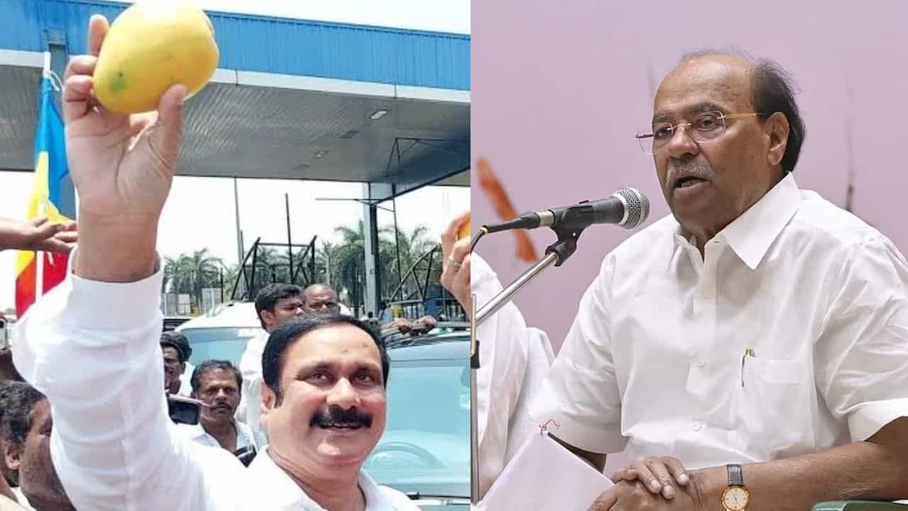 மாம்பழம் சின்னம் - ராமதாஸின் மனுவை தள்ளுபடி செய்த நீதிமன்றம் - விவரம் இதோ மாம்பழம் சின்னம் - ராமதாஸின் மனுவை தள்ளுபடி செய்த நீதிமன்றம் - விவரம் இதோ