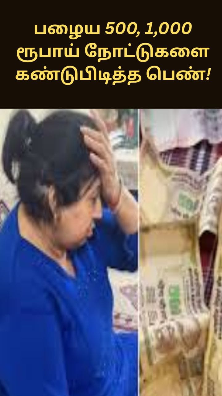 பழைய ரூபாய் நோட்டுகளை கண்டுபிடித்த பெண் - வைரலாகும் வீடியோ