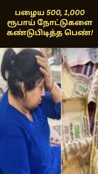பழைய ரூபாய் நோட்டுகளை கண்டுபிடித்த பெண் - வைரலாகும் வீடியோ...