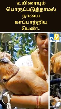 தன் உயிரையும் பொருட்படுத்தாமல் நாயை காப்பாற்றிய பெண்.. இணையத்தில் வைரல்.....