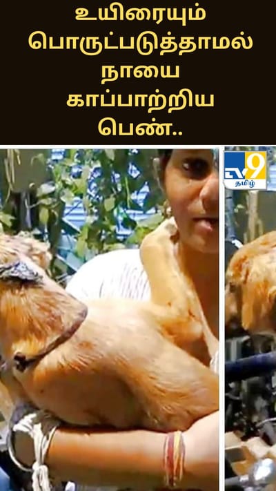 தன் உயிரையும் பொருட்படுத்தாமல் நாயை காப்பாற்றிய பெண்.. இணையத்தில் வைரல்..