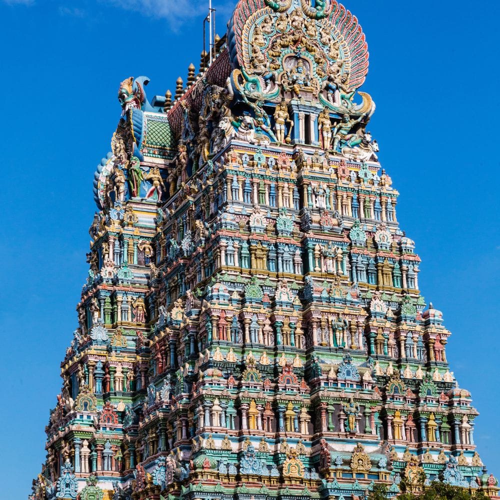 திருவிழாவின் எட்டாம் நாளில் மீனாட்சி அம்மனுக்கு மதுரையின் அரசியாக முடிசூட்டும் 'பட்டாபிஷேகம்' மிக விமர்சையாக நடைபெறும். அன்றிலிருந்து மதுரையின் ஆட்சிப் பொறுப்பை மீனாட்சி அம்மன் ஏற்பதாக ஐதீகம் என்பதால், அம்மனுக்கு ரத்தினக் கிரீடம் சூட்டி செங்கோல் வழங்கப்படுகிறது.