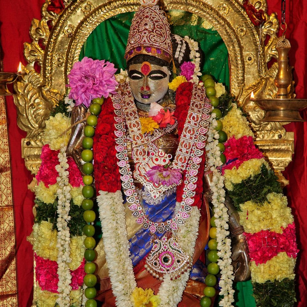 மதுரை மீனாட்சி அம்மன் கோவிலில் சித்திரை மாதம் வளர்பிறையில் கொடியேற்றத்துடன் இந்த மாபெரும் திருவிழா தொடங்குகிறது. சுமார் 12 நாட்கள் நடைபெறும் இந்த விழாவில், மதுரை மாநகரமே விழாக்கோலம் பூண்டு, பல்லாயிரக்கணக்கான பக்தர்கள் திரண்டு வந்து சுவாமி தரிசனம் செய்வார்கள்.