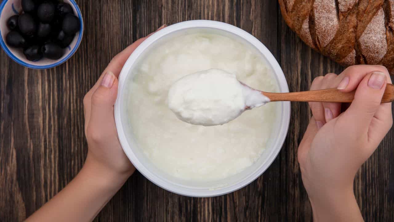 Health Tips: கோடையில் குளிரூட்டியாக செயல்படும் தயிர்.. உடலுக்கு இவ்வளவு நன்மைகளை தருமா?