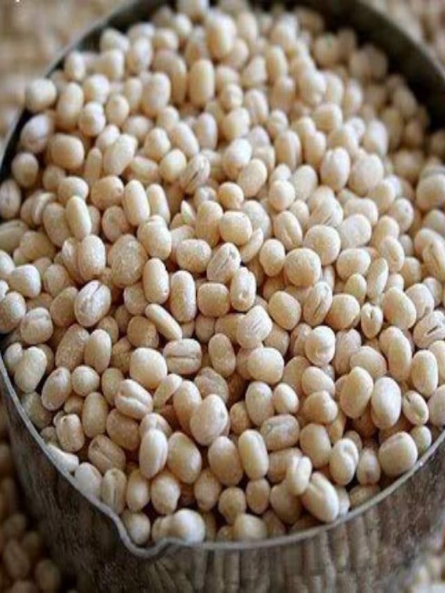 எந்த பருப்பில் அதிக புரதச்சத்து உள்ளது..?