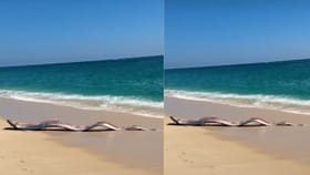 Viral Video : மெக்சிகோ கடற்கரையில் கரை ஒதுங்கிய இரட்டை டூம்ஸ்டே மீன்கள்.. பேரழிவின் அறிகுறியா?...