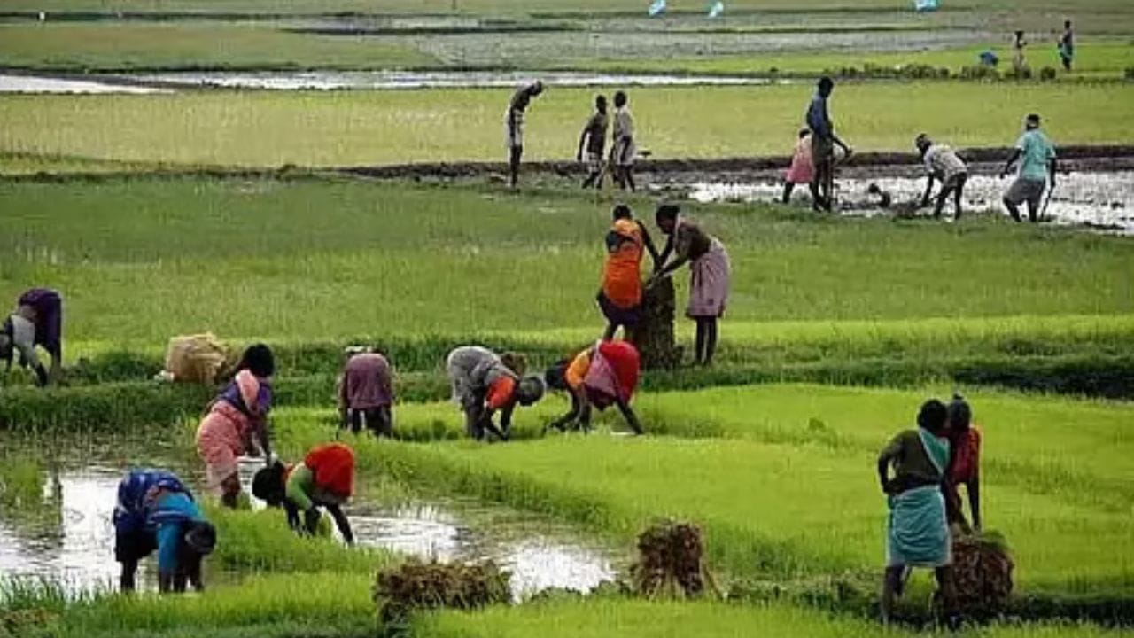 இந்த தொகுதி ஒரு முக்கிய விவசாயப் பகுதி ஆகும். குறிப்பாக நெல், கரும்பு, தோட்டக்கலை பயிர்கள் அதிகமாக விளைகின்றன. அதேபோல், பவர் லூம் மற்றும் நெசவு தொழில்களும் இங்கு அதிகமாக உள்ளன. அதிமுகவின் கோட்டையாக இருந்தாலும், மக்கள் முன்வைக்கும் முக்கிய பிரச்சினைகள்: குடிநீர் தட்டுப்பாடு , சாலை வசதிகள் குறைவு, விவசாயத்திற்கு போதிய நீர் இல்லாமை, வேலைவாய்ப்பு குறைவு, மருத்துவ வசதிகள் மேம்படுத்தல் தேவைகள்