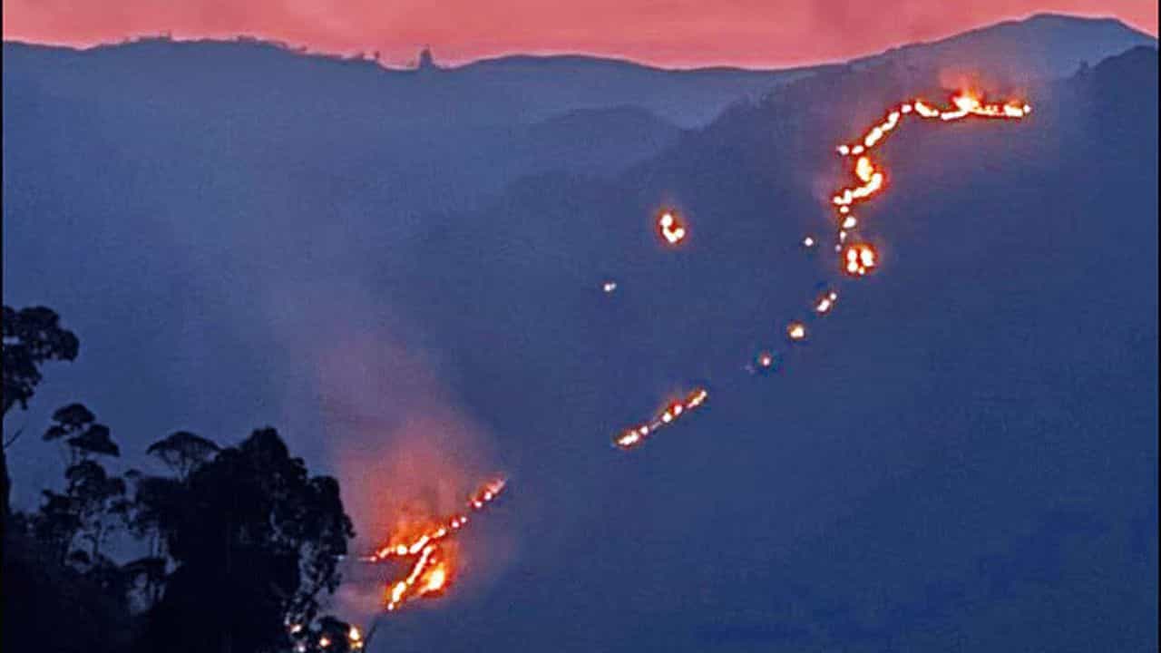 கொடைக்கானலில் பற்றி எரியும் காட்டுத்தீ.. தீயை அணைக்க போராடி வரும் தீயணைப்பு துறை! கொடைக்கானலில் பற்றி எரியும் காட்டுத்தீ.. தீயை அணைக்க போராடி வரும் தீயணைப்பு துறை!
