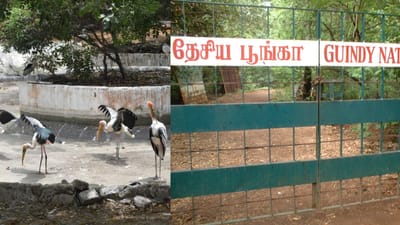 பறவை காய்ச்சல் பரவல்.. சென்னை கிண்டி சிறுவர் பூங்கா மூடல்..