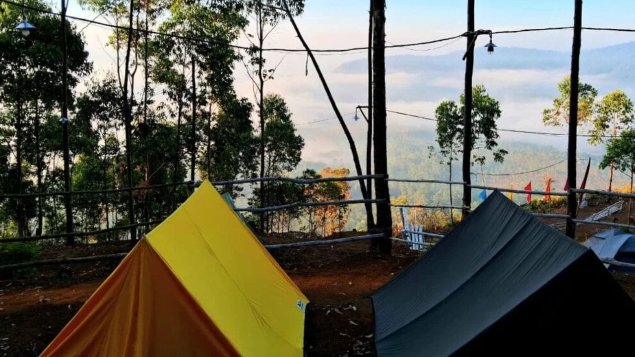 அவ்வாறு ட்ரெக்கிங் செல்லும் சுற்றுலா பயணிகள் இங்கிருந்து மீசை புலி மலை வரை ட்ரெக்கிங் செல்லலாம். இந்த ட்ரக்கிங் பயணத்தின் போது ஊசி இலை காடுகள், பசுமை போர்த்திய நிலங்கள் ஆகியவற்றை சுற்றி பார்த்து விட்டே செல்லலாம். அதற்கு சிறந்த இடமாக இந்த கொழுக்குமலை விளங்கி வருகிறது. இந்த பகுதியில் தங்க வேண்டும் என்று விரும்பினாலும், தங்குவதற்கு வசதி உள்ளது. அதற்காக முன்கூட்டியே திட்டமிட்டு முன்பதிவு செய்ய வேண்டும். இரவு நேரங்களில் கேம்ப் அமைத்து தங்குவதற்கும் இங்கு வசதி உள்ளது.