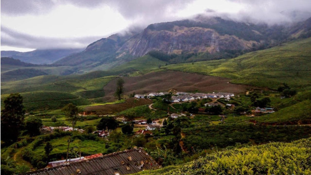 தேனி மாவட்டம், போடிநாயக்கனூர் பகுதியில் அமைந்துள்ளது தென் தமிழகத்தின் சொர்க்கம் என்று அழைக்கப்படும் கொழுக்கு மலை. இந்த மலைப்பகுதியானது கடல் மட்டத்திலிருந்து 7, 900 அடி உயரத்தில் அமைந்துள்ளது. இந்த பகுதியில் இயற்கை எழில் கொஞ்சும் அளவுக்கு மரம், செடி, கொடி ஆகியவை வளர்ந்துள்ளது. இந்த மலையில் உலகின் மிக உயரமான தேயிலை தோட்டம் அமைந்துள்ளது. மிக உயரமான இடத்தில் இந்த தேயிலைகள் விளைவதால் தனித்துவமான புத்துணர்ச்சி தரும் சுவை இந்த தேயிலையில் உள்ளதாக கூறுகின்றனர். இதனால், இங்கு சுற்றுலா செல்லும் சுற்றுலா பயணிகள் கட்டாயமாக தேயிலைகளை வீட்டுக்கு வாங்கி வாருங்கள்.