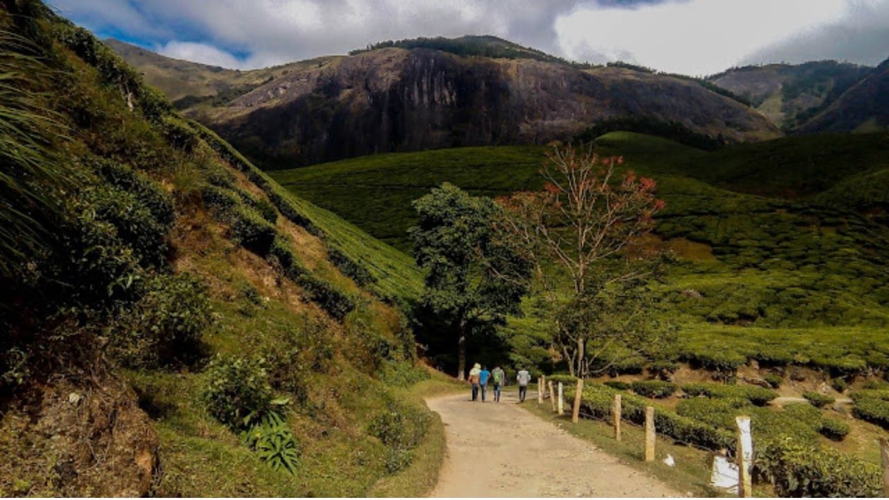 இந்த பகுதியில் அமைந்துள்ள சிங்கம் பாறை மீது நின்றவாறு சூரிய உதயத்தையும், அஸ்தமனத்தையும் பார்ப்பதே ஒரு சிறந்த அனுபவமாகும். அந்த அளவுக்கு கொழுக்குமலை ஒரு சிறந்த சுற்றுலா அனுபவத்தை நமக்குத் தரும். இவ்வளவு விஷயங்கள் சொல்லிவிட்டு, இதை சொல்லாமல் இருக்க முடியவில்லை. அது என்னவெனில் இங்கு விற்பனை செய்யப்படும் சூடான லெமன் டீ யை பருகாமல் இந்த சுற்றுலா பயணம் முழுமை அடையாது என்பதாகும். இதே போல, திகிலூட்டும் திரில்லிங்கான ட்ரெக்கிங் பயணத்தையும் இந்த பகுதியில் மேற்கொள்ளலாம்.