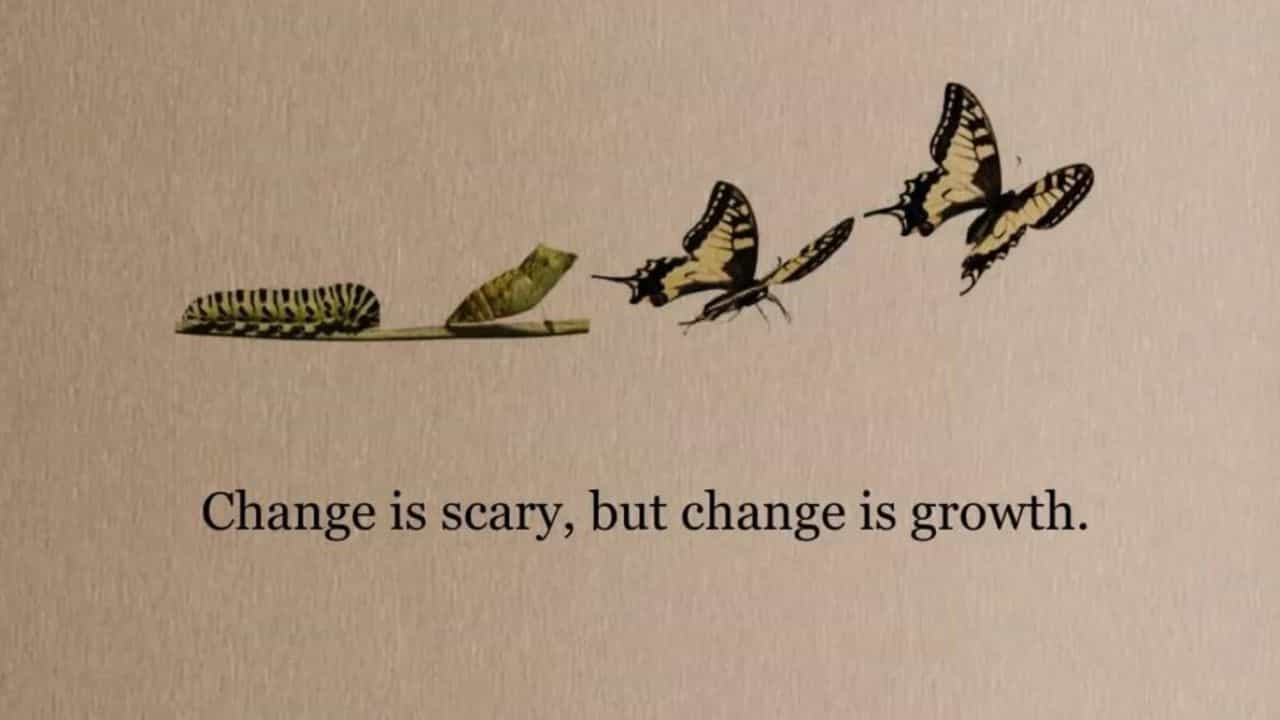 Acceptance: மாற்றத்தை ஏற்காமல் ஏன் நாம் வேதனைப்படுகிறோம்?