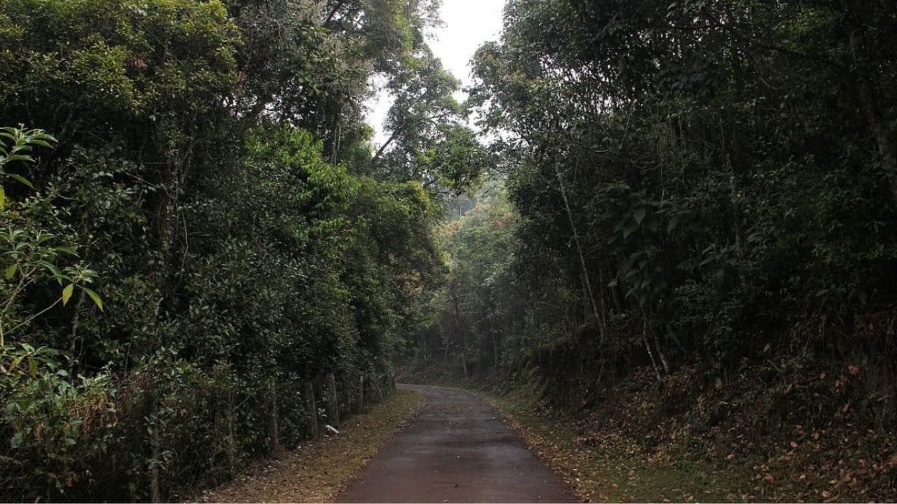 இவ்வளவு முக்கியத்துவம் பெற்றுள்ள  கோத்தகிரி,  நீலகிரியில் இருந்து  சுமார் 33  கிலோ மீட்டர் தொலைவில் அமைந்துள்ளது.  இங்கு சுமார் 1  மணி நேர பயணத்தில்  ஊட்டி-  தொட்டபெட்டா - கோத்தகிரி அல்லது குன்னூர் வழியாக  சென்றடையலாம். நெருங்கி வரும் சம்மர்  சீசனில்  குளிர்ச்சியான  மலைப் பகுதிக்கு சுற்றுலா செல்ல விரும்பினால்  கோத்தகிரிக்கு ஒரு முறை சென்று வாருங்களேன்...!