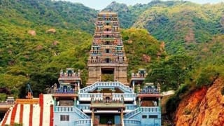 நோய்கள் நீக்கும் கோவை மருதமலையில் அருள்புரியும் மருதாச்சலமூர்த்தி…