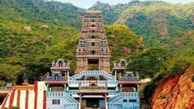 நோய்கள் நீக்கும் கோவை மருதமலையில் அருள்புரியும் மருதாச்சலமூர்த்தி…...