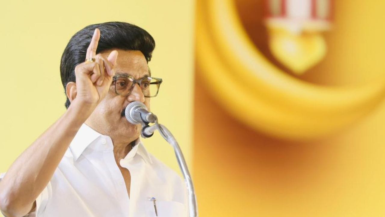 அனைவரையும் சமமாக பாவிக்கும் எண்ணம் கொண்ட தூய இஸ்லாமியர்கள் கூடி இருக்கின்றனர். அனைத்து சிறுபான்மை இயக்கங்களும் ஒரே மேடையில் இணைந்துள்ளனர். இஸ்லாமிய இயக்கங்களின் ஒற்றுமை தமிழகத்திற்கு மட்டுமல்ல, இந்தியாவிற்கே அவசியம். இஸ்லிமியர்கள் மட்டுமல்ல கிறிஸ்தவர்கள் நிம்மதியாக கிறிஸ்துமஸ் கொண்டாட முடியவில்லை. என்று பேசினார்.