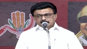 திமுக தேர்தல் அறிக்கையை பார்த்து எடப்பாடி புலம்புகிறார்… முதல்வர் மு.க.ஸ்டாலின் கடும் தாக்கு! திமுக தேர்தல் அறிக்கையை பார்த்து எடப்பாடி புலம்புகிறார்… முதல்வர் மு.க.ஸ்டாலின் கடும் தாக்கு!