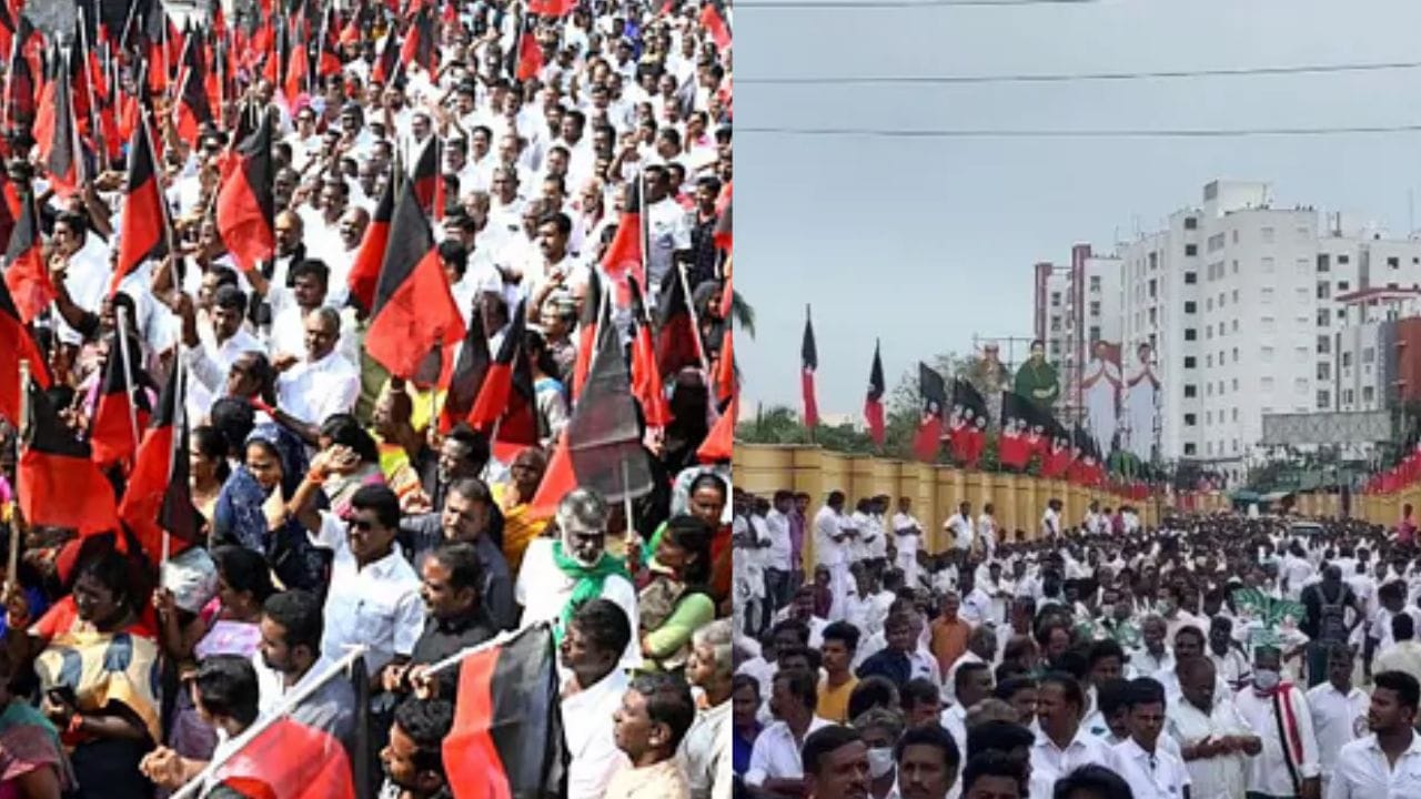 இந்த தொகுதியைப் பொருத்தவரையில் அதிமுக மற்றும் திமுக இடையே கடுமையான போட்டி நிலவுகிறது. இரு கட்சிகளுக்கும் சுமார் ஐம்பது சதவீதம் வெற்றி வாய்ப்பு உள்ளது. 1977 ஆம் ஆண்டு முதல் நடைபெற்ற தேர்தல்களைப் பார்க்கும்போது, திமுக மூன்று முறை மற்றும் அதிமுக மூன்று முறை வெற்றி பெற்றுள்ளது குறிப்பிடத்தக்கது.