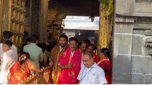 திருப்பதி வெங்கடேஸ்வரா கோயிலில் சுவாமி தரிசனம் செய்த ஓபிஎஸ்! திருப்பதி வெங்கடேஸ்வரா கோயிலில் சுவாமி தரிசனம் செய்த ஓபிஎஸ்!