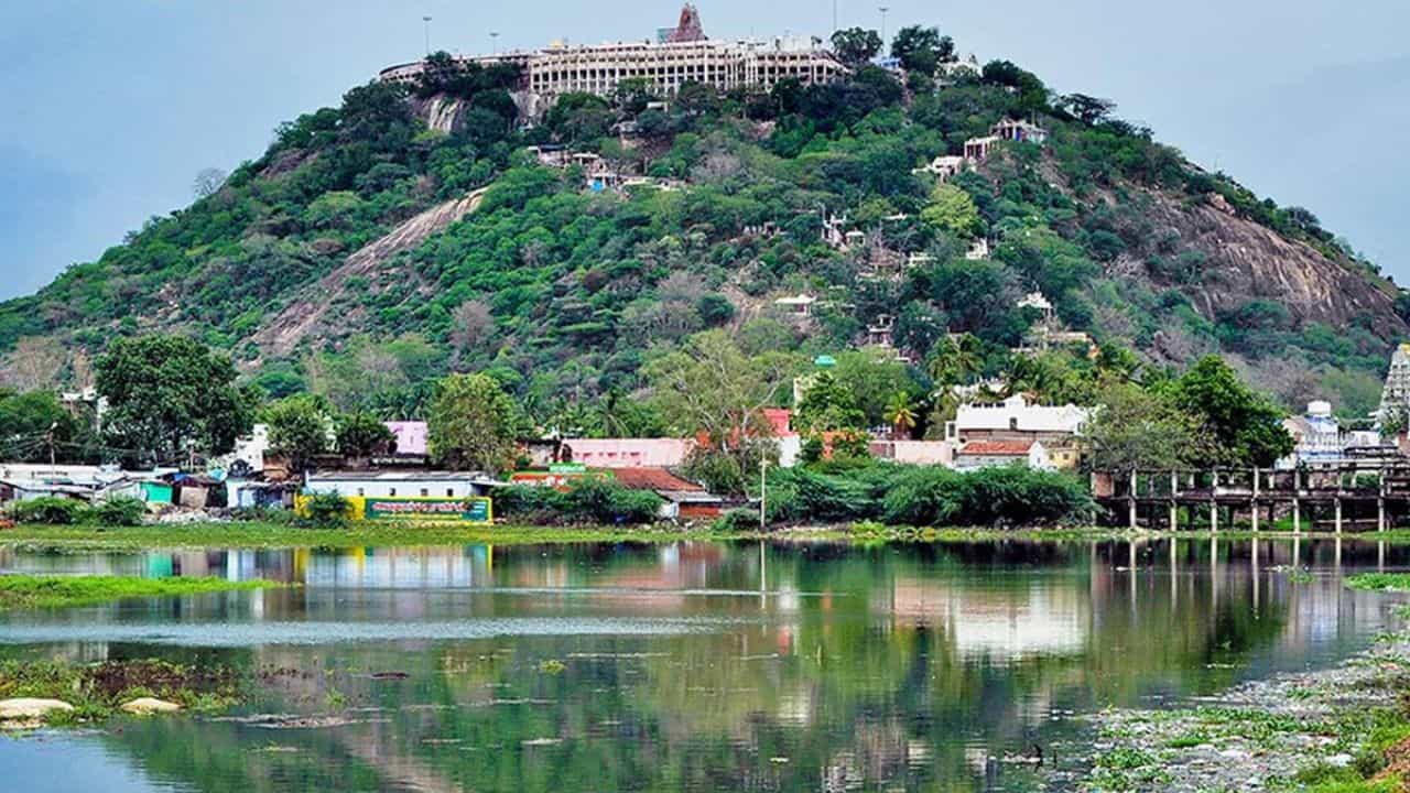 பங்குனி உத்திர விழா... பழனி முருகன் கோயிலில் 3 நாள்கள் கட்டண தரிசனம் ரத்து!