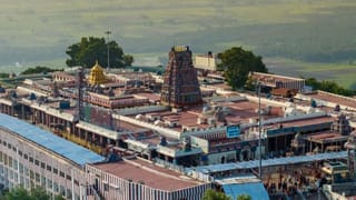 பக்தர்கள் திரளும் பழனி: பங்குனி உத்திர திருவிழா தேதி அறிவிப்பு!