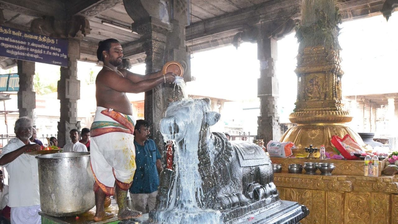 வழிபாட்டு முறைகள்: மாலை 4.30 மணி முதல் 6.00 மணி வரையிலான பிரதோஷ வேளையில் சிவாலயத்திற்குச் சென்று வழிபட வேண்டும். நந்தி மற்றும் சிவபெருமானின் அபிஷேகத்திற்குத் தேவையான பால், தயிர், பன்னீர், இளநீர், தேன் மற்றும் அரிசி மாவு போன்ற பொருட்களை வாங்கித் தருவது சிறந்தது. நந்திக்கு அருகம்புல் மாலையும், சிவபெருமானுக்குத் தும்பைப்பூ மாலையும் சாற்றி வழிபடுவது சகல தோஷங்களையும் நீக்கும்.