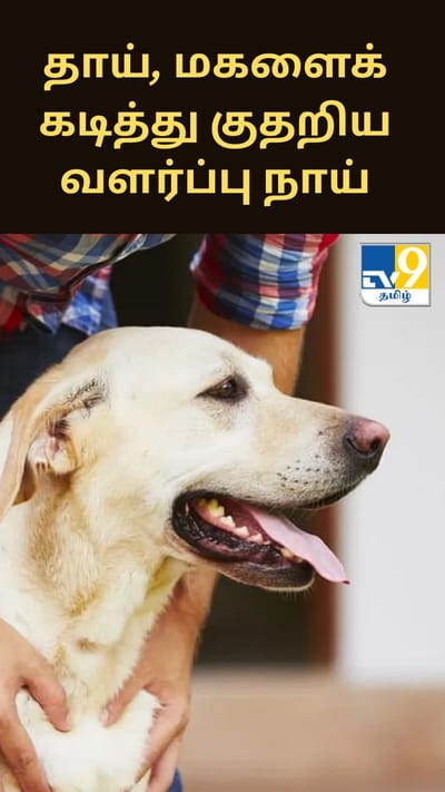 தாய், மகளைக் கடித்து குதறிய வளர்ப்பு நாய்.. வேடிக்கை பார்த்த உரிமையாளர்கள்..
