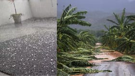 கோவையில் வரலாறு காணாத ஆலங்கட்டி மழை; சேதமடைந்த பயிர்...