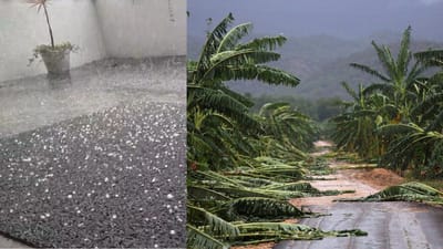 கோவையில் வரலாறு காணாத ஆலங்கட்டி மழை; சேதமடைந்த பயிர்