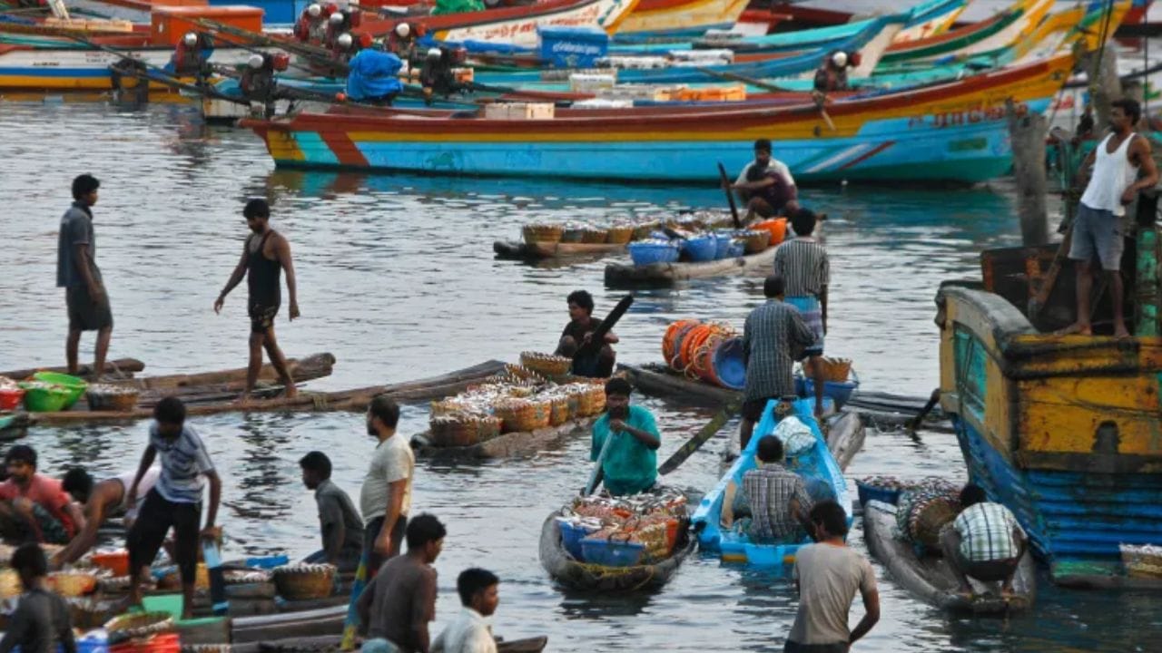 அதேபோல், மீனவர் சமுதாயம் அதிகம் இருப்பதால் மீனவர்கள் தொடர்பான பிரச்சினைகளும் மக்கள் தரப்பில் முன்வைக்கப்படுகின்றன.