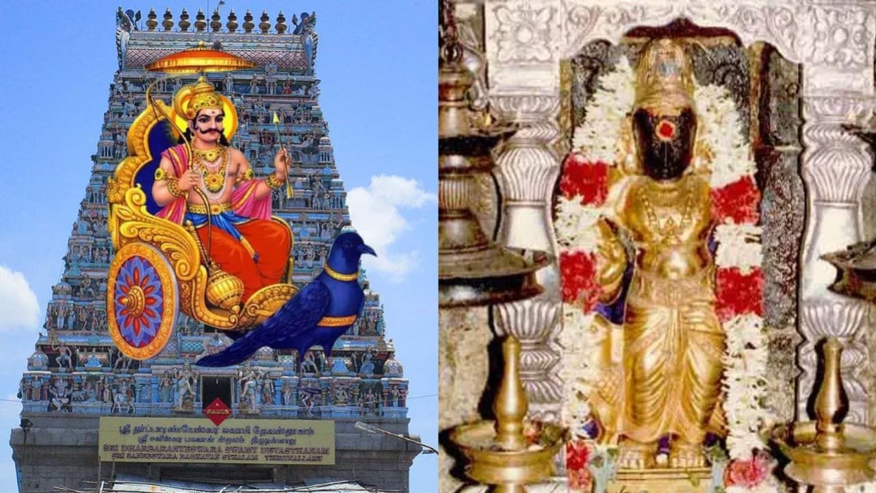 சனி பகவானுக்குரிய பிரசித்தி பெற்ற தலங்களான திருநள்ளாறு, திருக்கொள்ளிக்காடு மற்றும் குற்றனூர் போன்ற இடங்களுக்குச் சென்று வழிபடுவது கூடுதல் பலன்களைத் தரும் என்பது நம்பிக்கை. கிரகப் பெயற்சிகள் உங்கள் வாழ்க்கையில் மாற்றங்களை ஏற்படுத்தினாலும், உங்கள் தன்னம்பிக்கையும் கடின உழைப்புமே உங்களை உயர்த்திச் செல்லும் என்பதில் எந்தச் சந்தேகமும் இல்லை. ஆன்மிகம் ஒரு வழிகாட்டி மட்டுமே; செயல்படுவது நீங்களே.