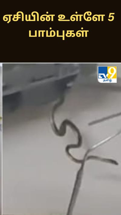 ஏசியின் உள்ளே 5 பாம்புகள் - திருவனந்தபுரத்தில் பரபரப்பு