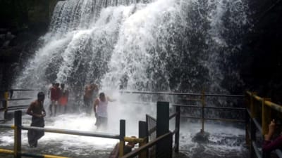 பசுமை காடுகளுக்கு மத்தியில் 