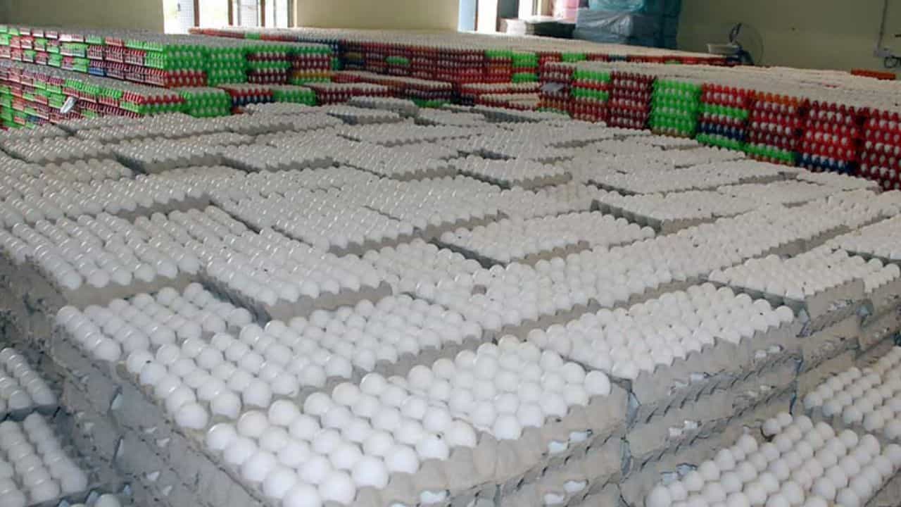 போர் பதற்றம்... தமிழகத்தில் முட்டை விலை திடீர் வீழ்ச்சி- பண்ணைகளில் தேக்கம்!