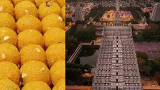 திருவண்ணாமலை கோவிலில் மீண்டும் தொடங்கப்படும் சேவை.. பக்தர்கள் மகிழ்ச்சி..!