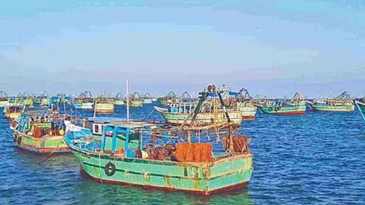 திருவொற்றியூர் தொகுதியை பொருத்தவரையில் நாம் தமிழர் கட்சி தரப்பில் சத்திய பாஸ்கர் 2026 ஆம் ஆண்டு தேர்தலில் போட்டியிட உள்ளதாக கூறப்படுகிறது. இன்னும் அதிமுக மற்றும் திமுக கட்சிகளின் வேட்பாளர் பட்டியல் வெளியிடப்படவில்லை.