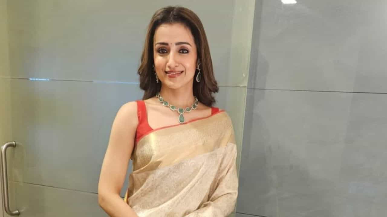 அறிவு இல்லாமல் கீழ்த்தரமான... தன் மீதான விமர்சனத்துக்கு திரிஷா அதிரடி பதில்