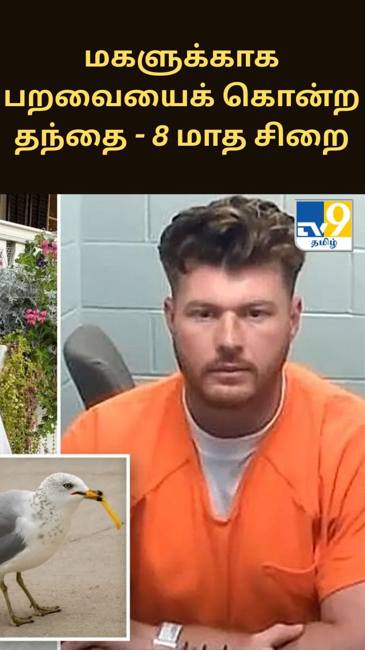 மகளுக்காக பறவையைக் கொன்ற தந்தை – 8 மாத சிறை தண்டனை