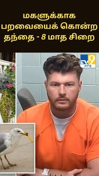 மகளுக்காக பறவையைக் கொன்ற தந்தை - 8 மாத சிறை தண்டனை...