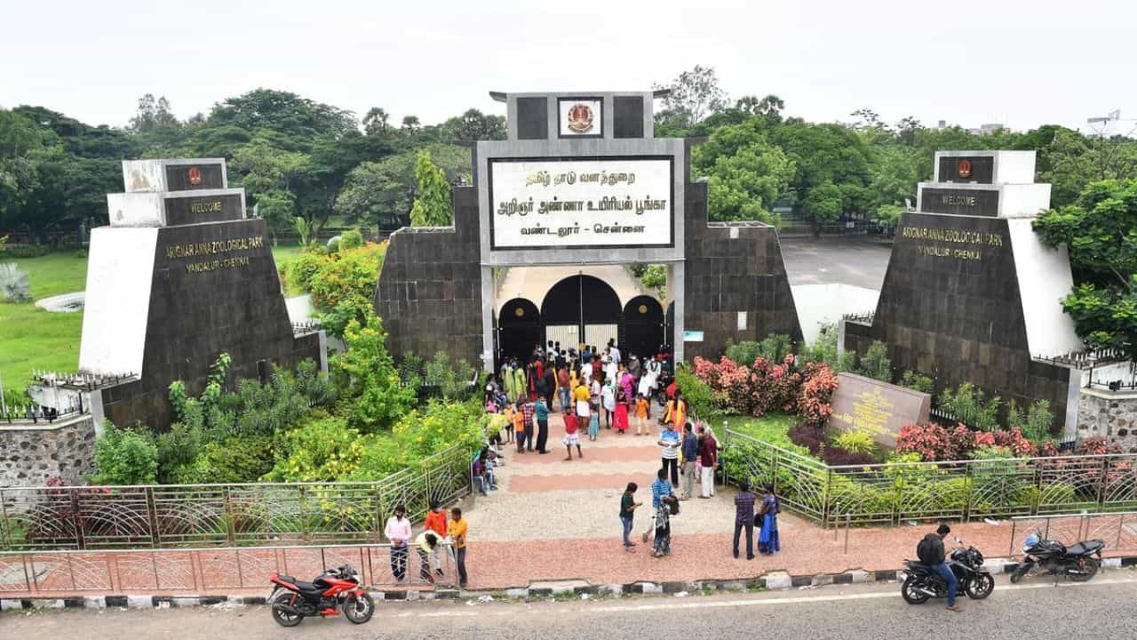 சென்னை: மூடப்படும் வண்டலூர் உயிரியல் பூங்கா... காரணம் என்ன?