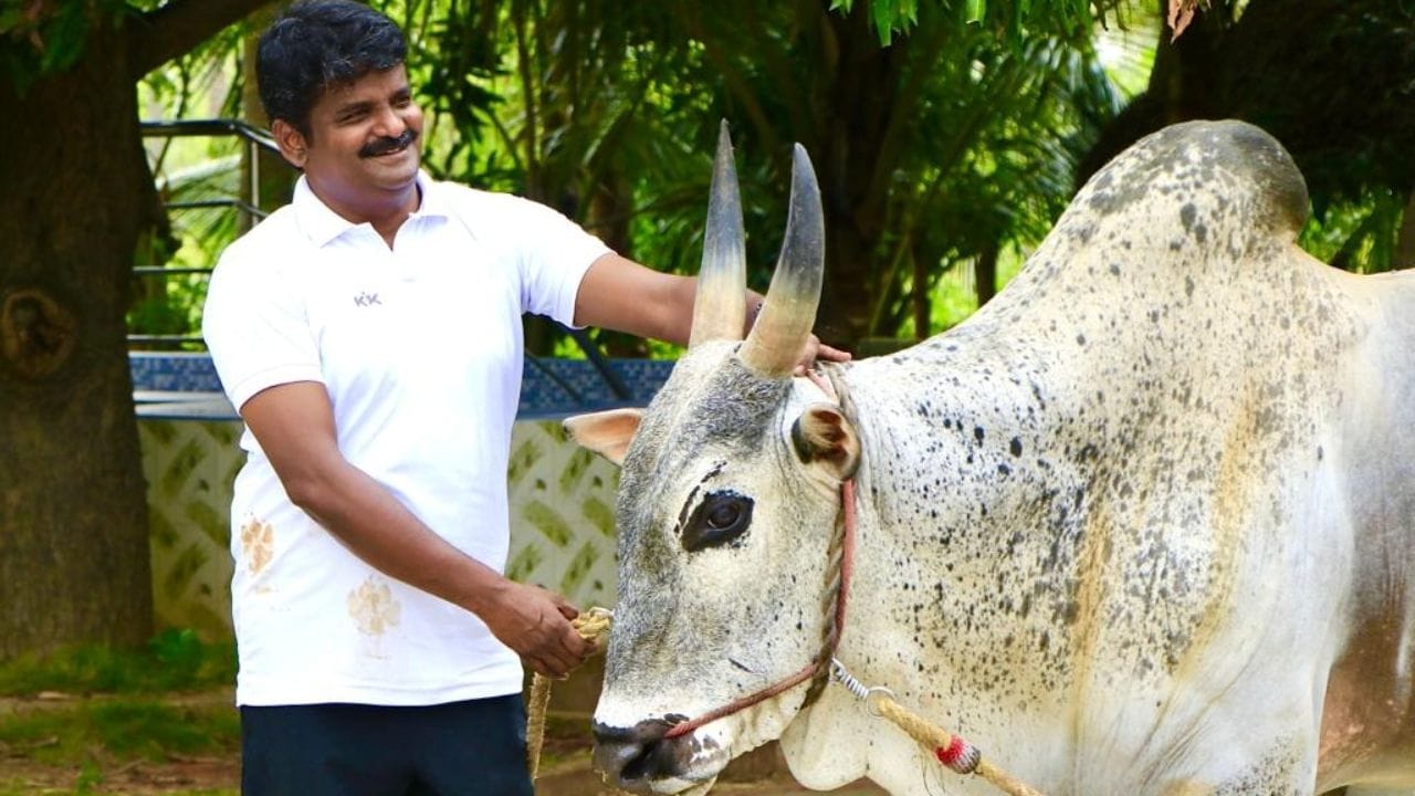 இதனால், வருகின்ற சட்டமன்ற தேர்தலில் சி விஜயபாஸ்கர் மீண்டும் இதே தொகுதியில் களம் இறக்கப்பட்டுள்ளார். இதனால், சி. விஜயபாஸ்கர் மீண்டும் தனது வெற்றியே உறுதி செய்வார் என்று எதிர்பார்க்கப்படுகிறது.அதே வேளையில், இந்த தொகுதியில் களம் இறக்கப்படும் எதிர்க் கட்சி வேட்பாளரை பொறுத்து கள நிலவரமும், வெற்றி வாய்ப்பும் மாற வாய்ப்பு உள்ளது.