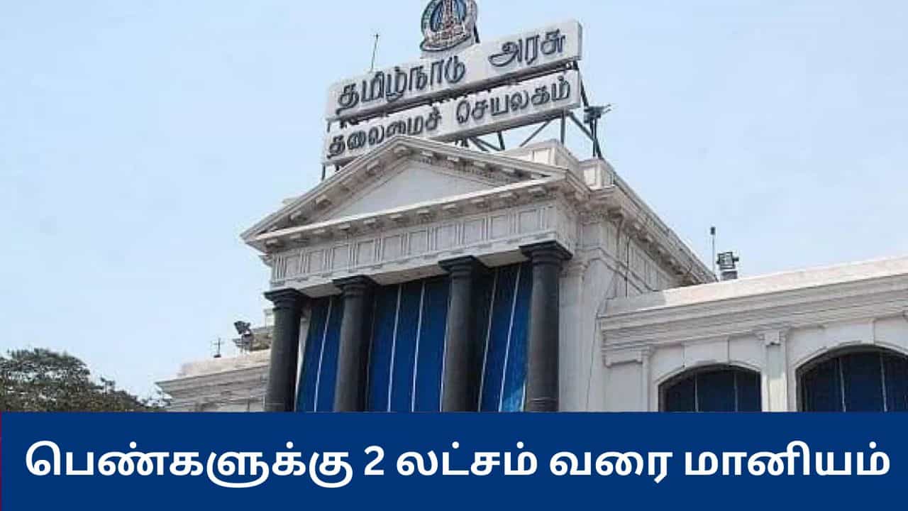 பெண்களுக்கு ரூ.2 லட்சம் வரை மானியம் – தமிழ்நாடு அரசு புதிய தொழில்முனைவோர் திட்டம்