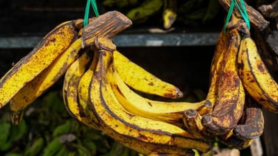 கருந்தோல் வாழைப்பழம்: குப்பையா? அல்லது உடலுக்கு காவலா?