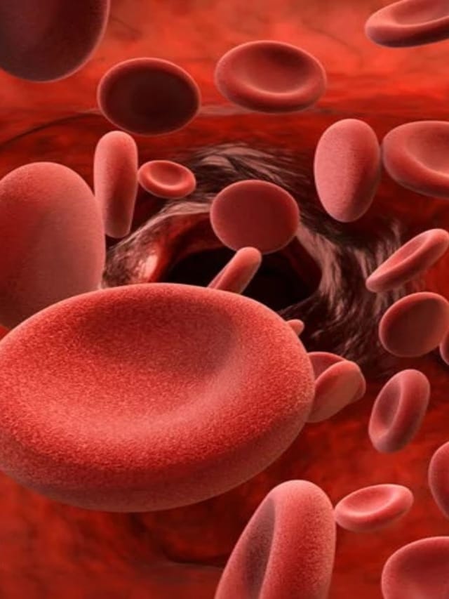 ஹீமோகுளோபினை அதிகரிக்க உதவும் சிறந்த உணவுகள்..!